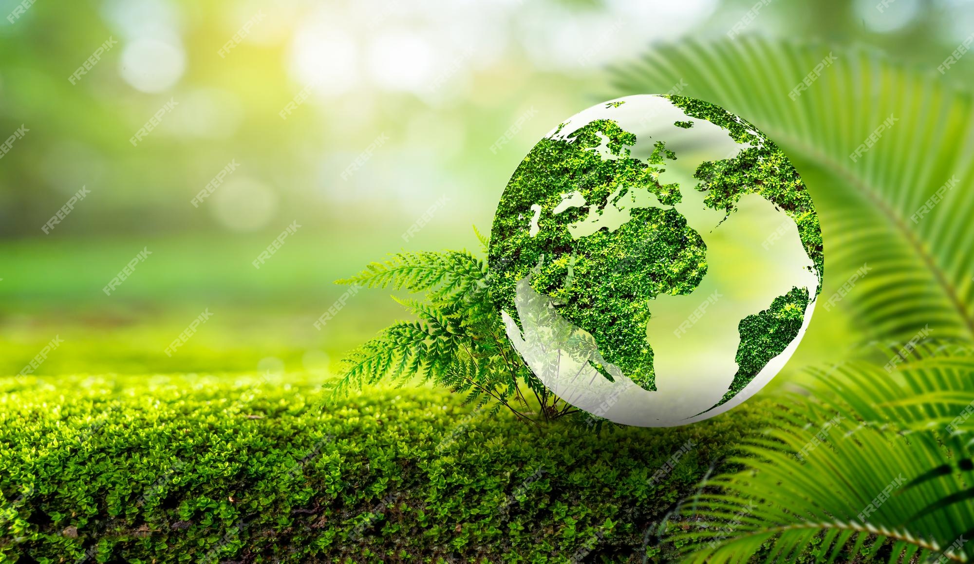 Medio Ambiente