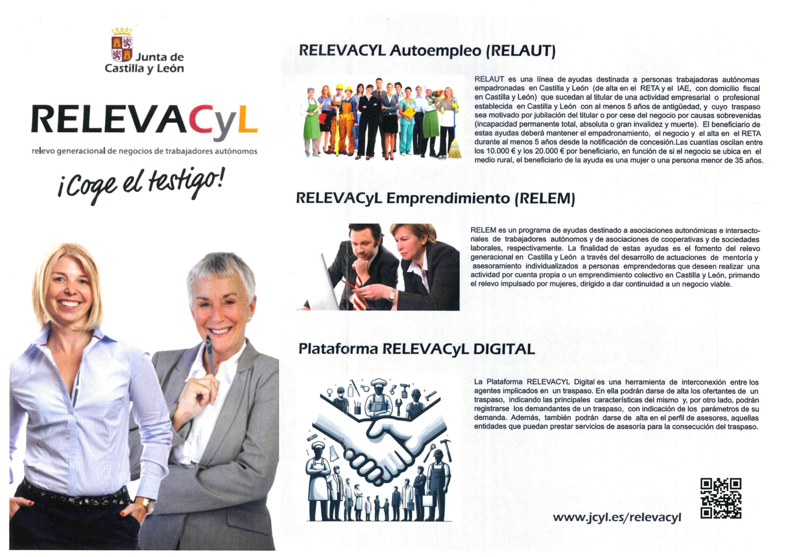 RelevaCyL2