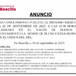 Captura de pantalla 2025-09-22 085131 Pleno Ordinario Septiembre 2025