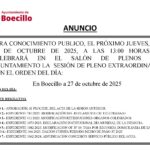 CARTEL_PLENO 30-10-2025 CARTEL_PLENO 30-10-2025